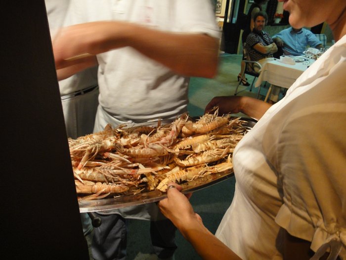 DSC03041