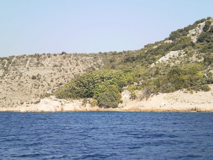 P8310208